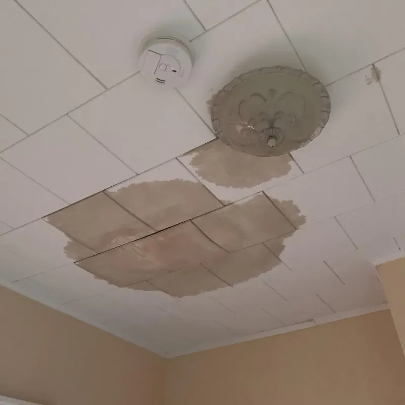 Ceiling Water Damage Repair in Endwell, NY