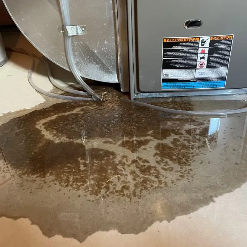 Pipe Burst and Leak Restoration in Endwell, NY
