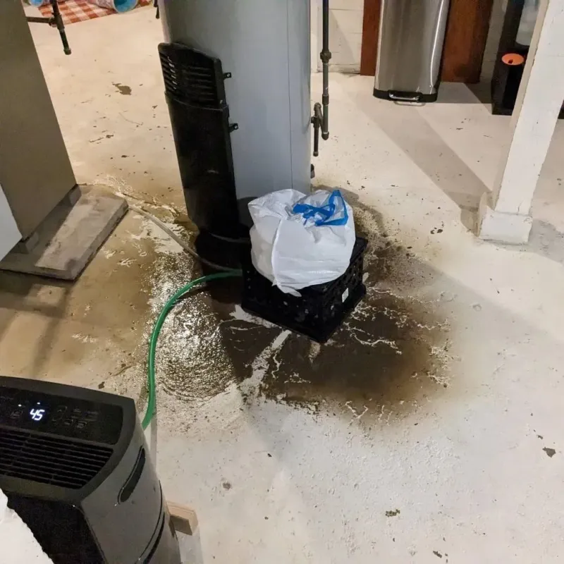 Sewage Backup Cleanup Service in Endwell, NY